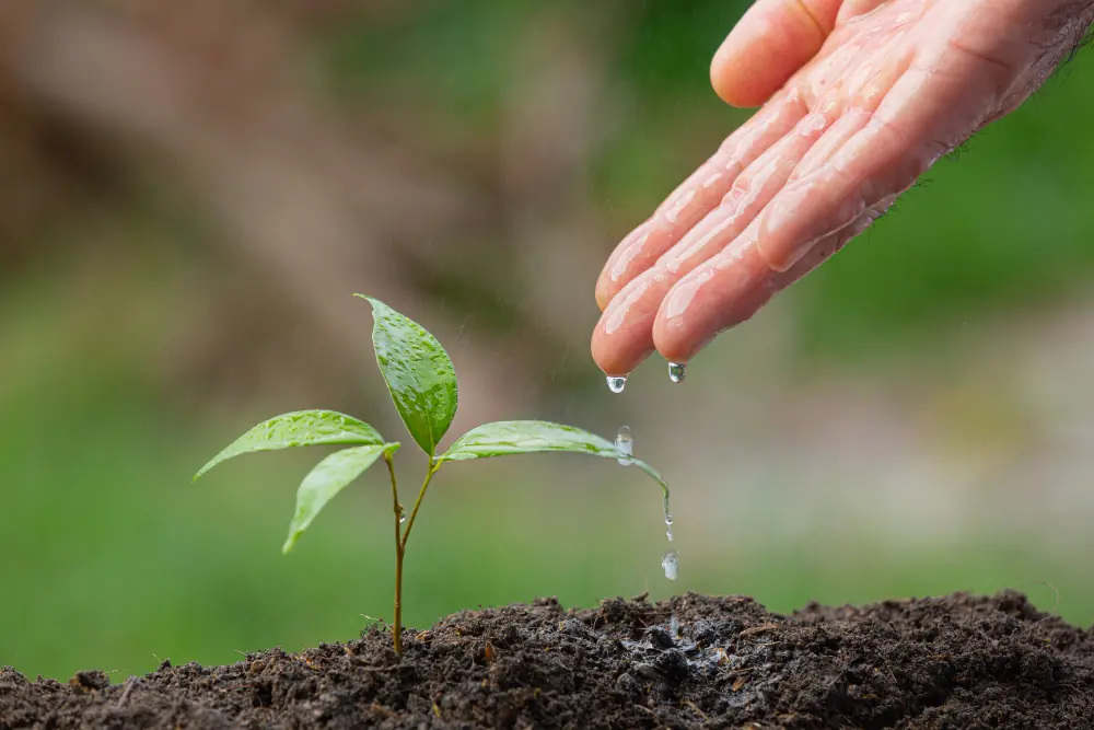 Vision - Greener Planet and Generational Wealth