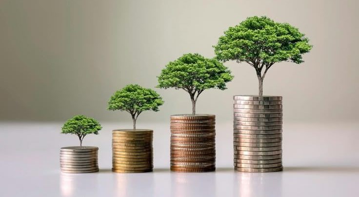who invest in sandalwood plantation?